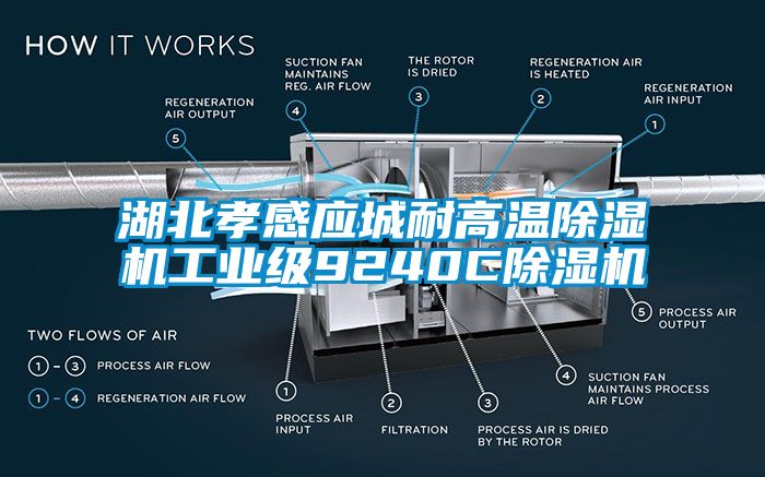 湖北孝感應(yīng)城耐高溫除濕機工業(yè)級9240C除濕機