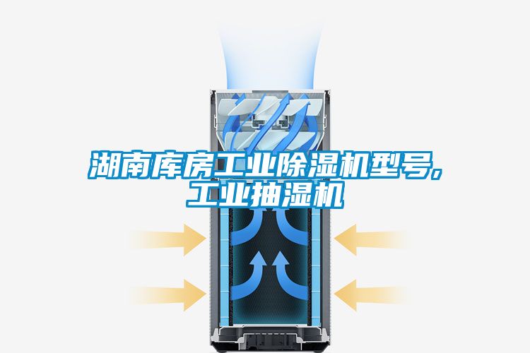 湖南庫房工業(yè)除濕機(jī)型號,工業(yè)抽濕機(jī)