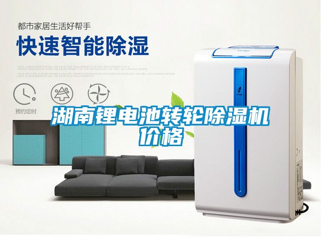 湖南鋰電池轉(zhuǎn)輪除濕機(jī)價格