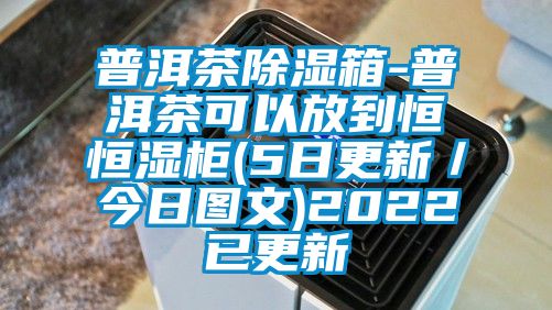 普洱茶除濕箱-普洱茶可以放到恒恒濕柜(5日更新／今日圖文)2022已更新