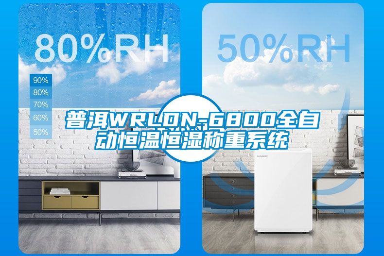 普洱WRLDN-6800全自動恒溫恒濕稱重系統(tǒng)