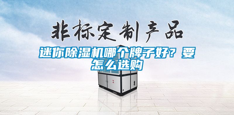 迷你除濕機哪個牌子好？要怎么選購