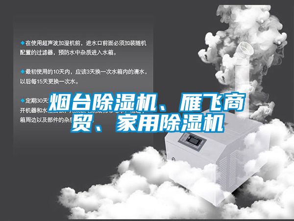 煙臺除濕機、雁飛商貿(mào)、家用除濕機