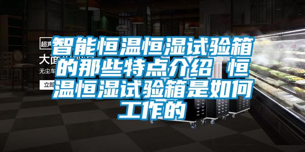 智能恒溫恒濕試驗箱的那些特點介紹 恒溫恒濕試驗箱是如何工作的