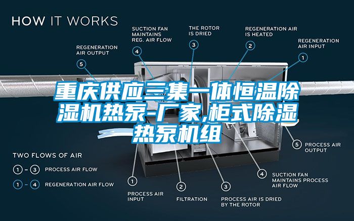 重慶供應(yīng)三集一體恒溫除濕機熱泵-廠家,柜式除濕熱泵機組