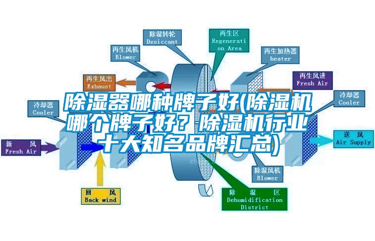 除濕器哪種牌子好(除濕機哪個牌子好？除濕機行業(yè)十大知名品牌匯總)