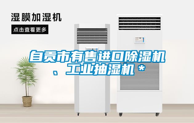 自貢市有售進口除濕機、工業(yè)抽濕機＊