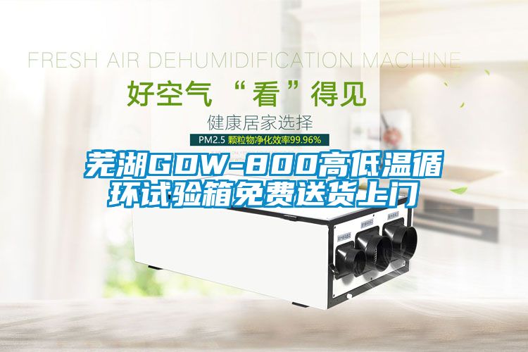 蕪湖GDW-800高低溫循環(huán)試驗箱免費送貨上門