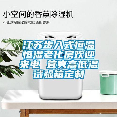 江蘇步入式恒溫恒濕老化房歡迎來電 茸雋高低溫試驗(yàn)箱定制