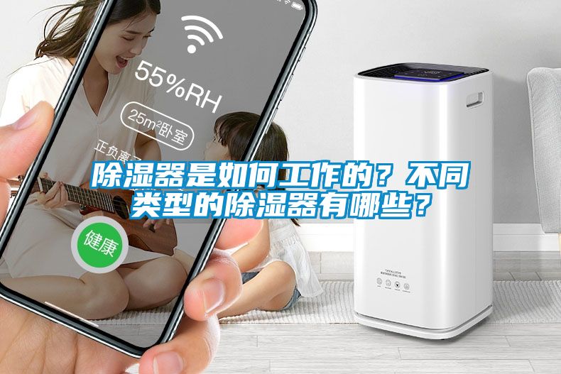 除濕器是如何工作的？不同類型的除濕器有哪些？