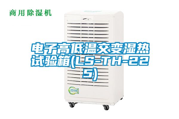 電子高低溫交變濕熱試驗(yàn)箱(LS-TH-225)