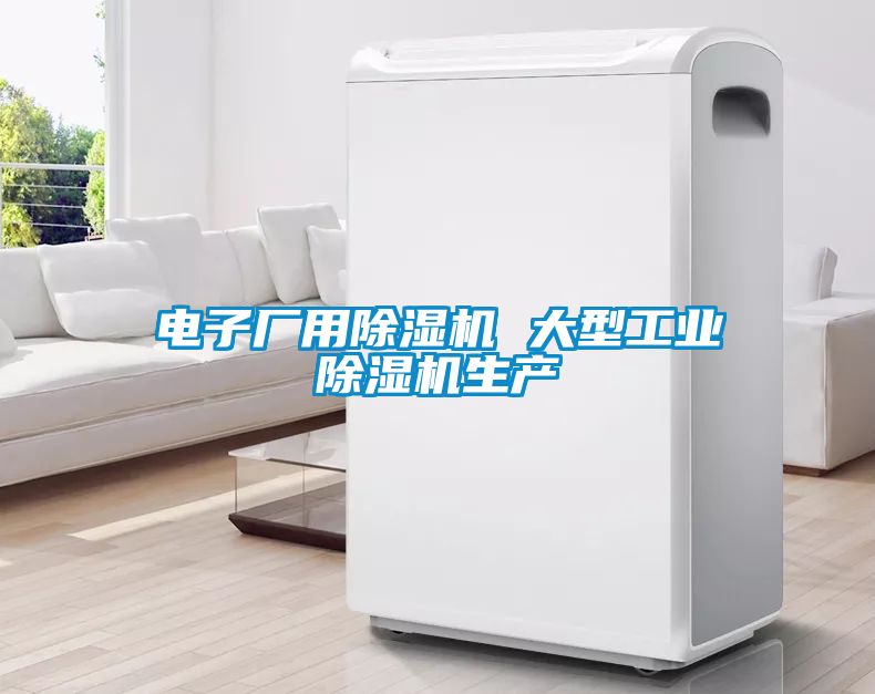 電子廠用除濕機 大型工業(yè)除濕機生產(chǎn)