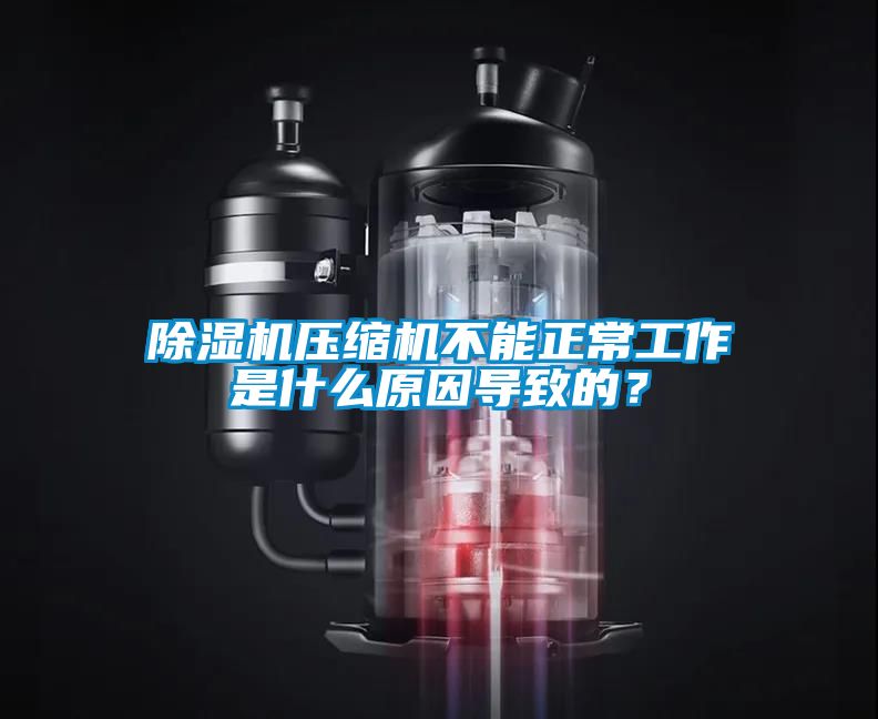 除濕機(jī)壓縮機(jī)不能正常工作是什么原因?qū)е碌模?/></p>
<p style=