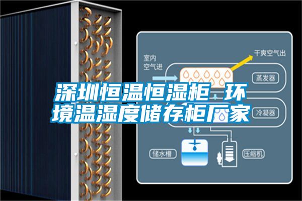 深圳恒溫恒濕柜 環(huán)境溫濕度儲存柜廠家