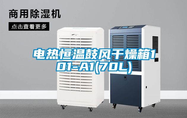 電熱恒溫鼓風(fēng)干燥箱101-A1(70L)