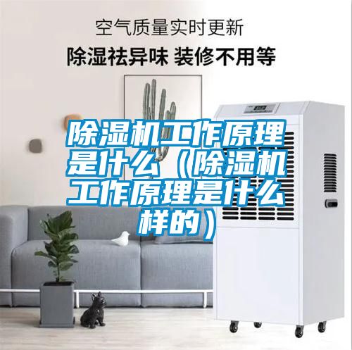 除濕機工作原理是什么（除濕機工作原理是什么樣的）