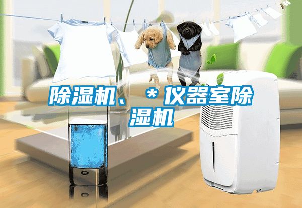 除濕機、＊儀器室除濕機