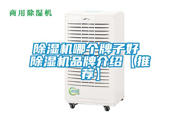 除濕機哪個牌子好 除濕機品牌介紹【推薦】