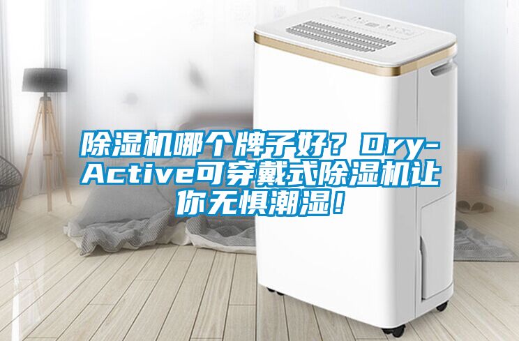 除濕機(jī)哪個(gè)牌子好？Dry-Active可穿戴式除濕機(jī)讓你無(wú)懼潮濕！