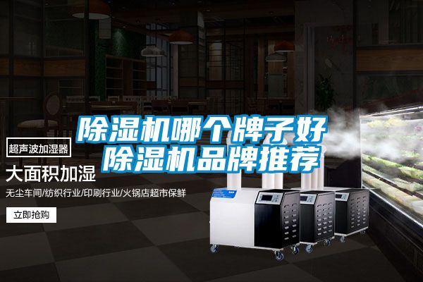 除濕機哪個牌子好 除濕機品牌推薦