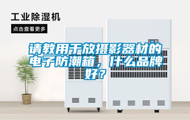 請(qǐng)教用于放攝影器材的電子防潮箱，什么品牌好？