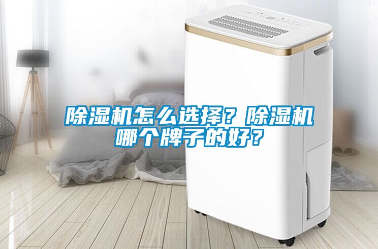 除濕機怎么選擇？除濕機哪個牌子的好？