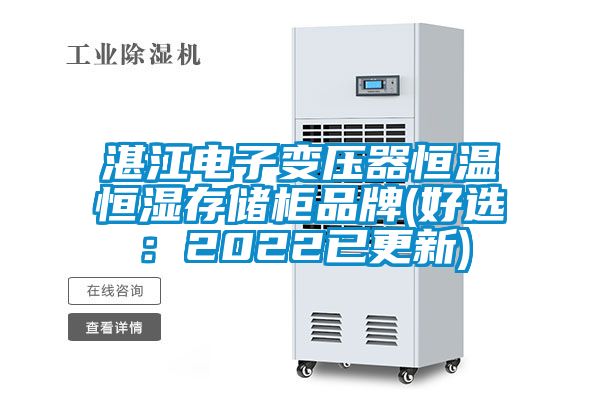 湛江電子變壓器恒溫恒濕存儲柜品牌(好選：2022已更新)