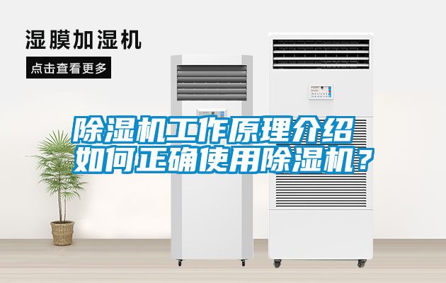 除濕機工作原理介紹 如何正確使用除濕機？