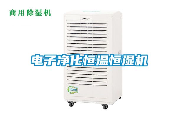 電子凈化恒溫恒濕機(jī)