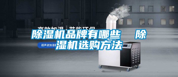 除濕機品牌有哪些  除濕機選購方法