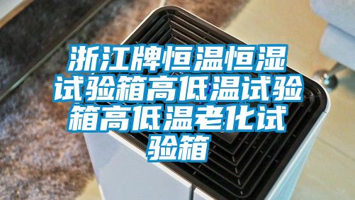 浙江牌恒溫恒濕試驗箱高低溫試驗箱高低溫老化試驗箱