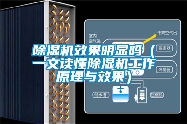 除濕機效果明顯嗎（一文讀懂除濕機工作原理與效果）