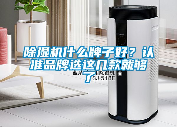 除濕機(jī)什么牌子好？認(rèn)準(zhǔn)品牌選這幾款就夠了