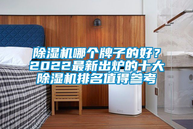 除濕機哪個牌子的好？2022最新出爐的十大除濕機排名值得參考