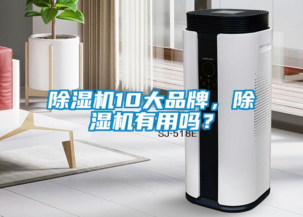 除濕機10大品牌，除濕機有用嗎？