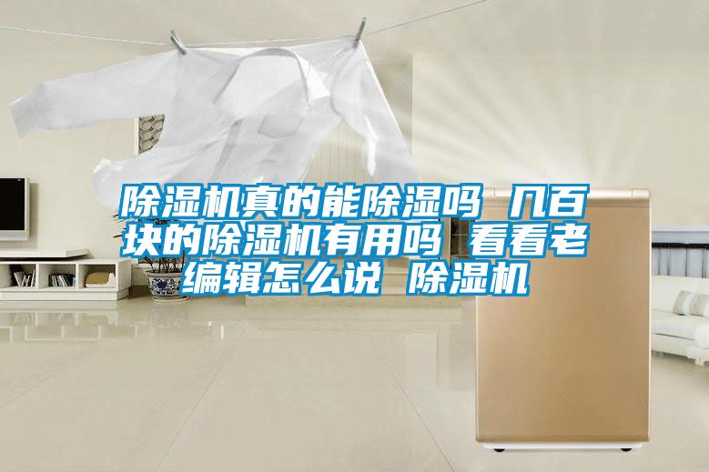 除濕機真的能除濕嗎 幾百塊的除濕機有用嗎 看看老編輯怎么說 除濕機