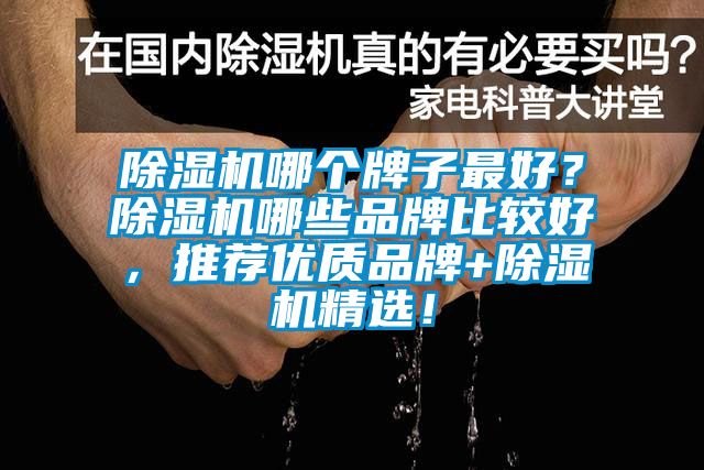 除濕機(jī)哪個(gè)牌子最好？除濕機(jī)哪些品牌比較好，推薦優(yōu)質(zhì)品牌+除濕機(jī)精選！