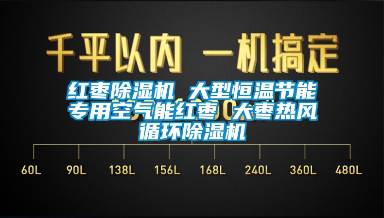 紅棗除濕機 大型恒溫節(jié)能專用空氣能紅棗 大棗熱風(fēng)循環(huán)除濕機