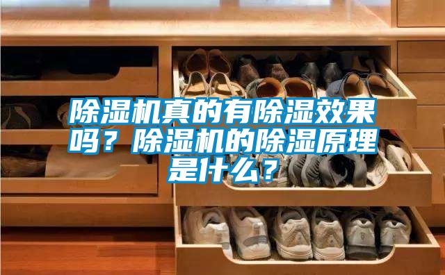 除濕機真的有除濕效果嗎？除濕機的除濕原理是什么？