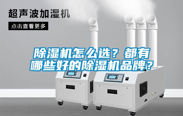 除濕機怎么選？都有哪些好的除濕機品牌？