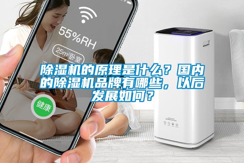 除濕機的原理是什么？國內(nèi)的除濕機品牌有哪些，以后發(fā)展如何？