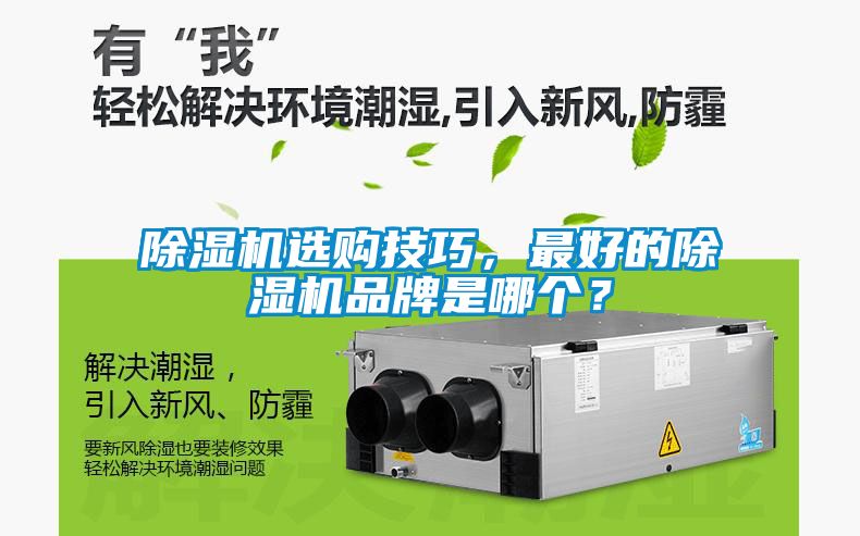 除濕機選購技巧，最好的除濕機品牌是哪個？