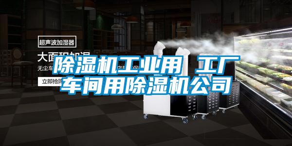 除濕機工業(yè)用 工廠車間用除濕機公司