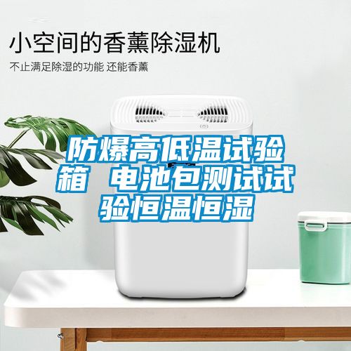 防爆高低溫試驗(yàn)箱 電池包測(cè)試試驗(yàn)恒溫恒濕