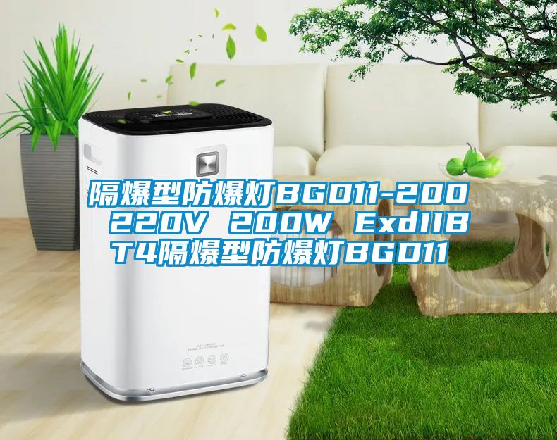 隔爆型防爆燈BGD11-200 220V 200W ExdIIBT4隔爆型防爆燈BGD11