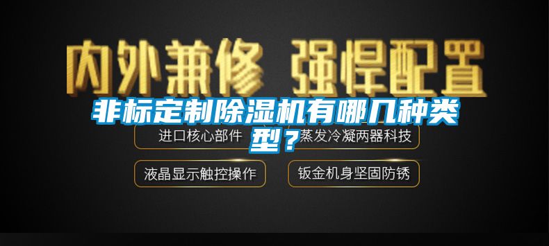 非標定制除濕機有哪幾種類型？