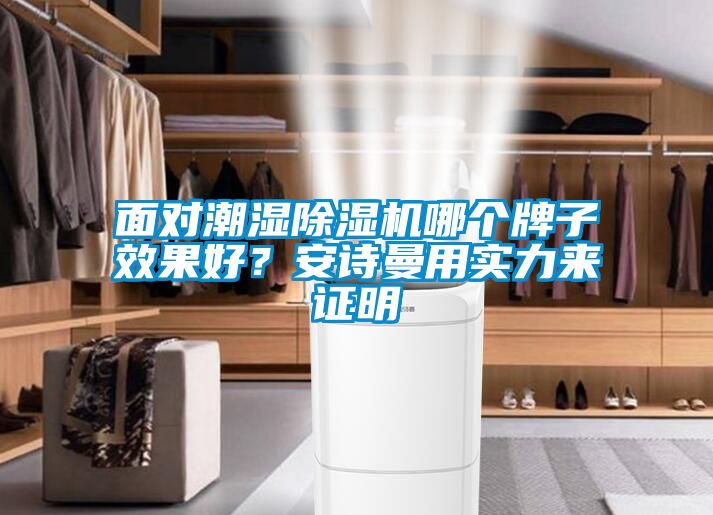 面對潮濕除濕機哪個牌子效果好？安詩曼用實力來證明