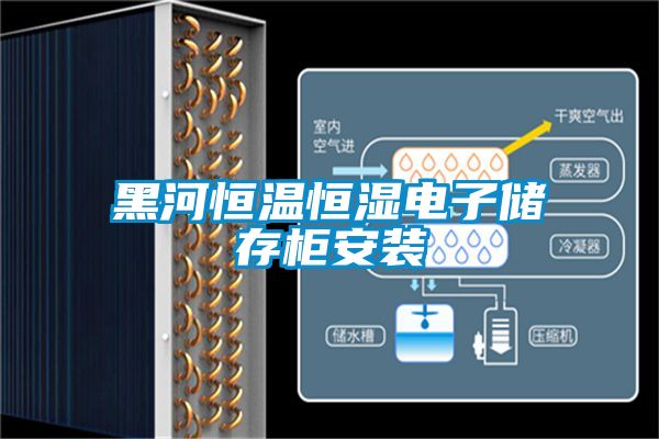 黑河恒溫恒濕電子儲(chǔ)存柜安裝