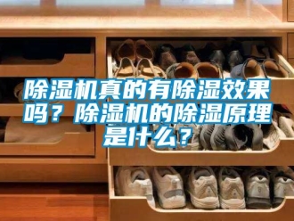 行業(yè)新聞除濕機真的有除濕效果嗎？除濕機的除濕原理是什么？