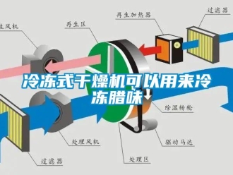 行業(yè)新聞冷凍式干燥機可以用來冷凍臘味